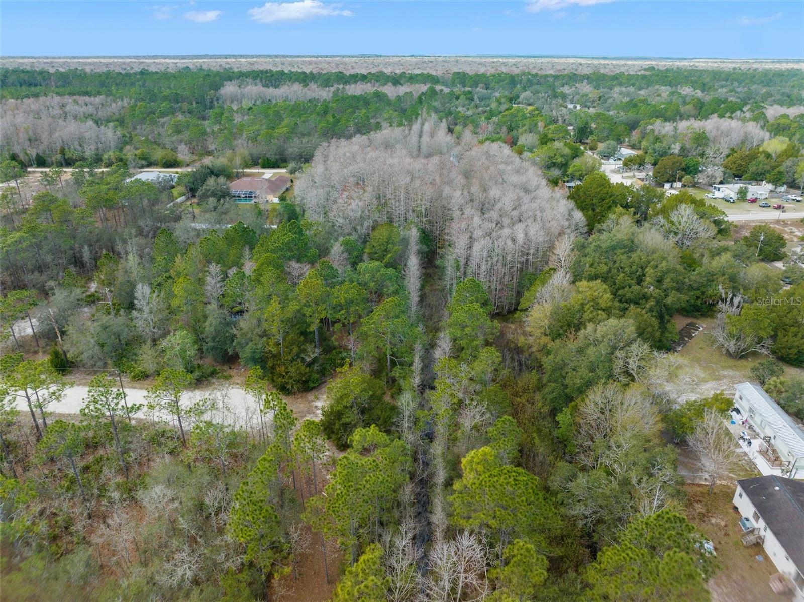 RYDAL RD, BROOKSVILLE, FL, 34614