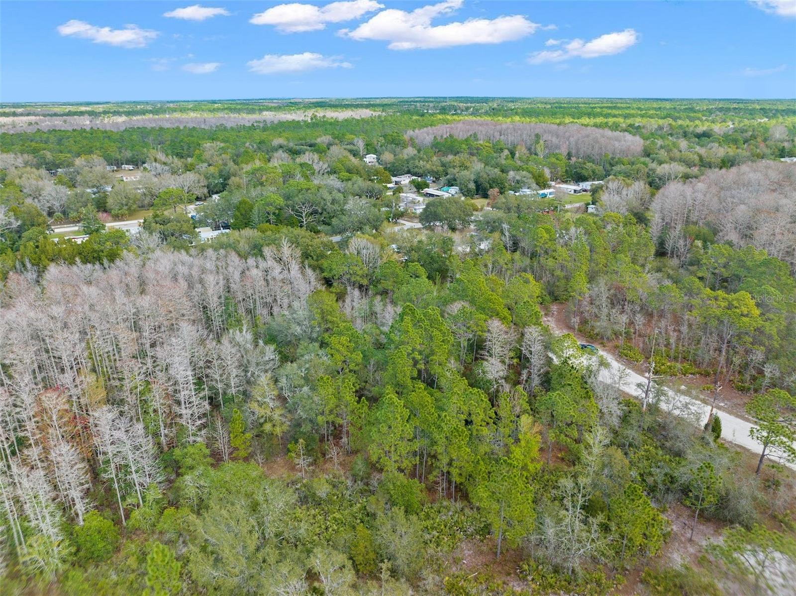 RYDAL RD, BROOKSVILLE, FL, 34614
