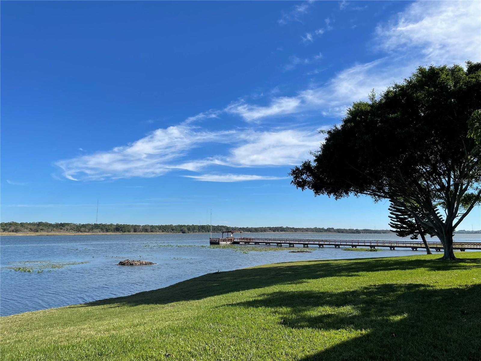 9209 SEMINOLE BLVD #117, SEMINOLE, FL, 33772