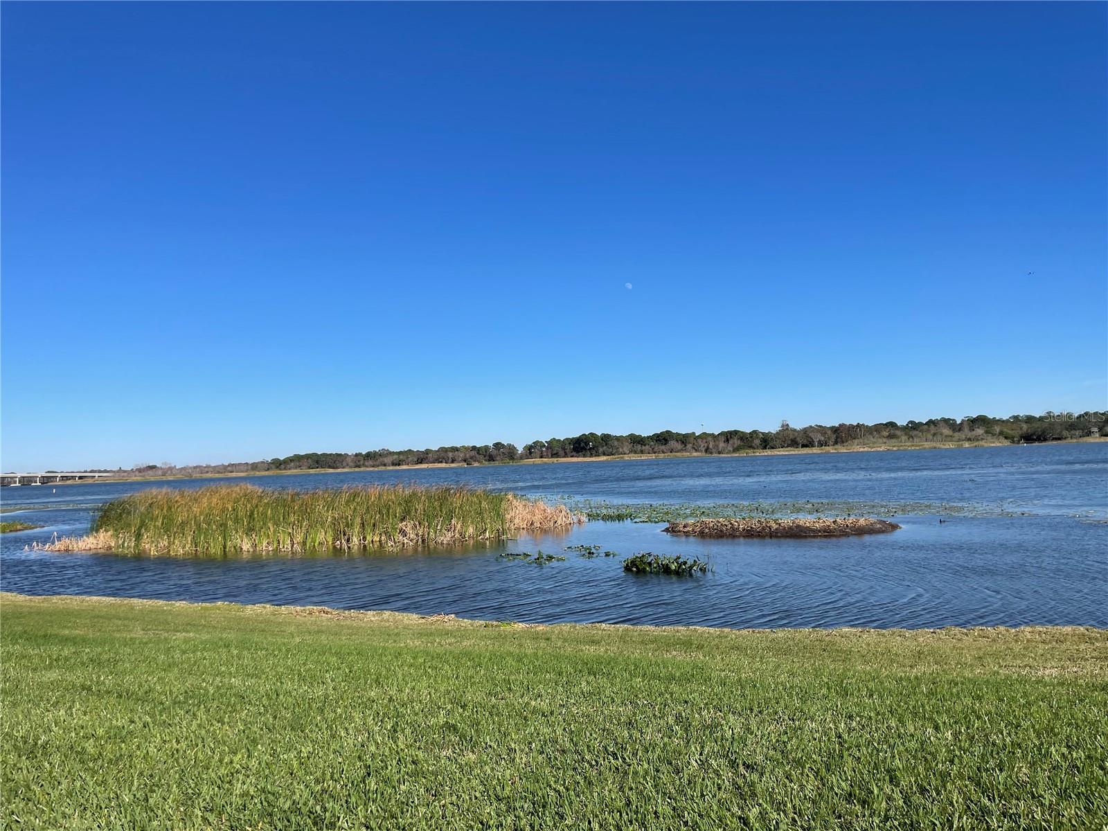 9209 SEMINOLE BLVD #117, SEMINOLE, FL, 33772