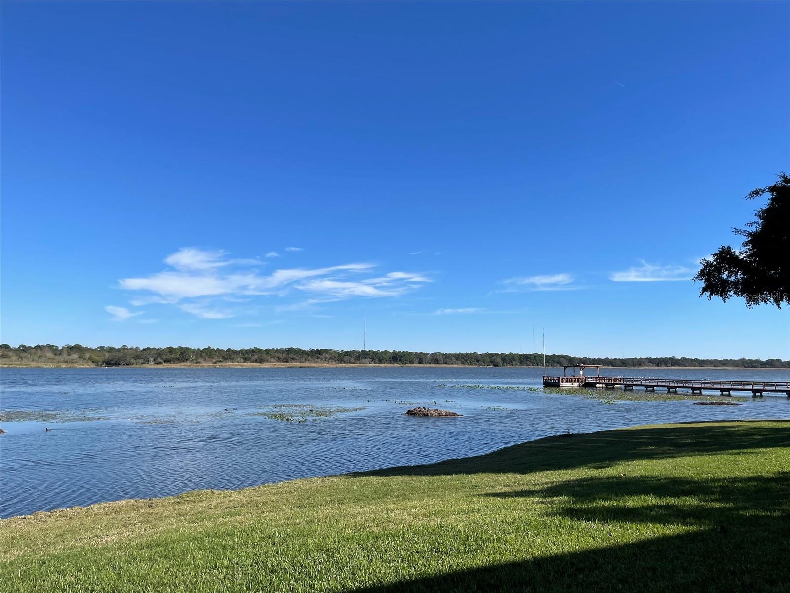 9209 SEMINOLE BLVD #117, SEMINOLE, FL, 33772