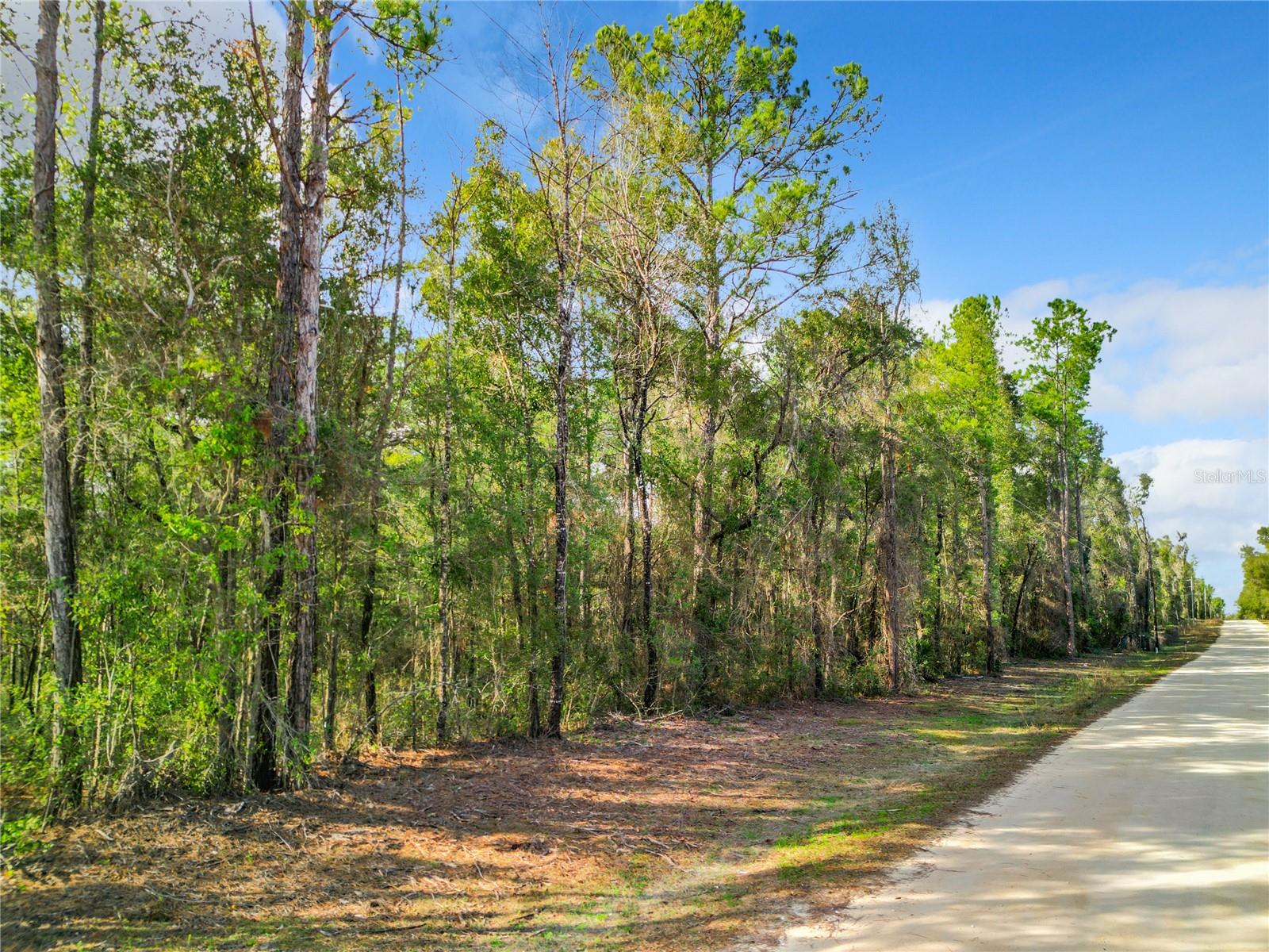 TBD NE 111TH AVE, ARCHER, FL, 32618