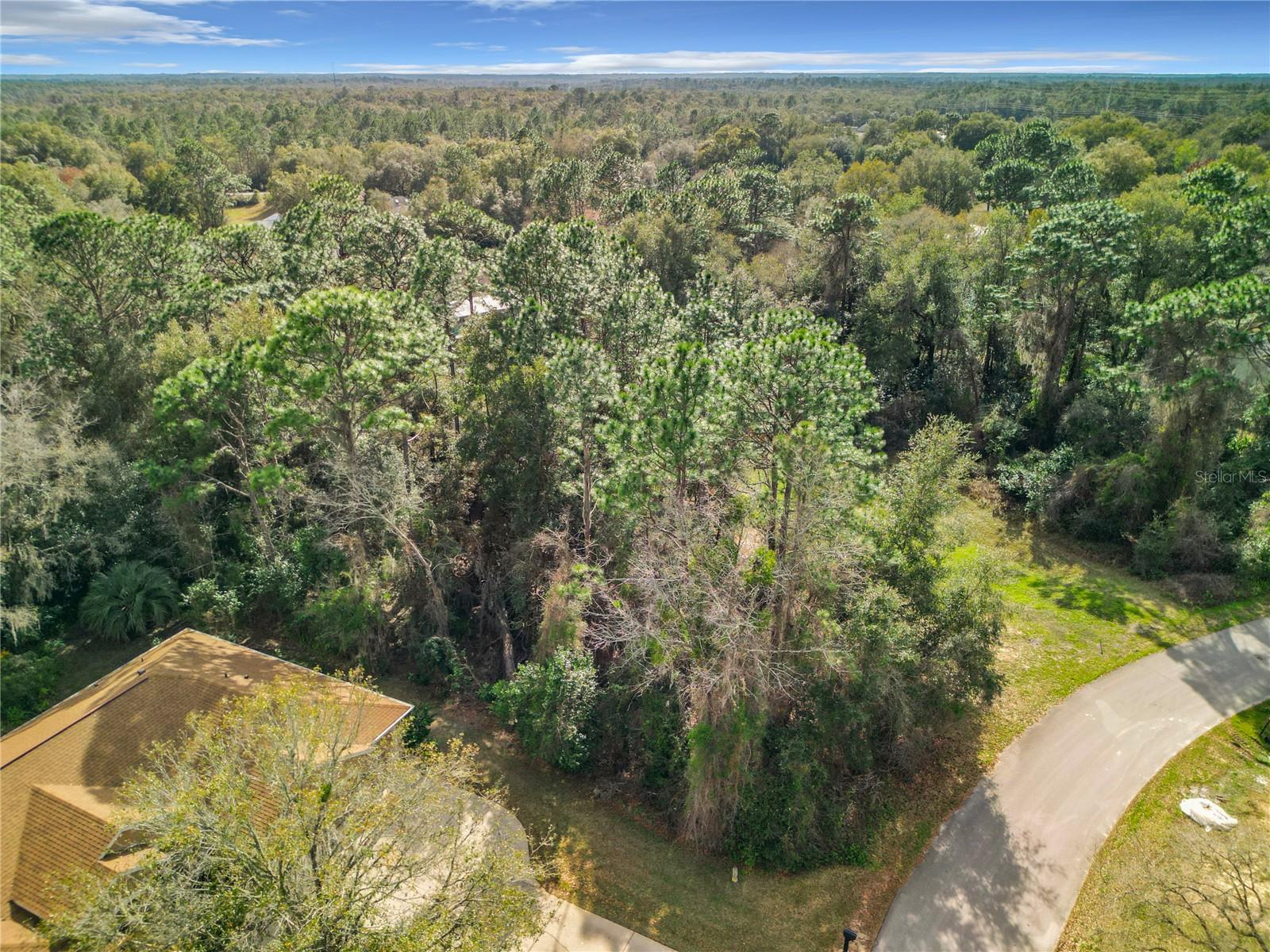 LOT 11 SW 195TH CIR, DUNNELLON, FL, 34432
