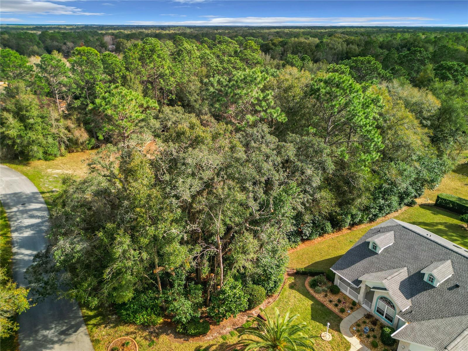 LOT 11 SW 195TH CIR, DUNNELLON, FL, 34432