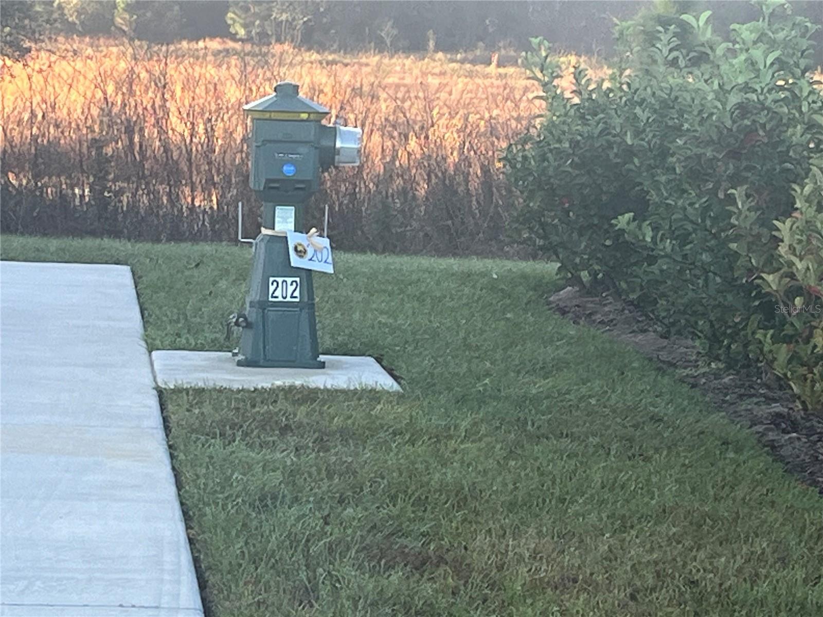 4891 SE 92ND BLVD, WEBSTER, FL, 33597