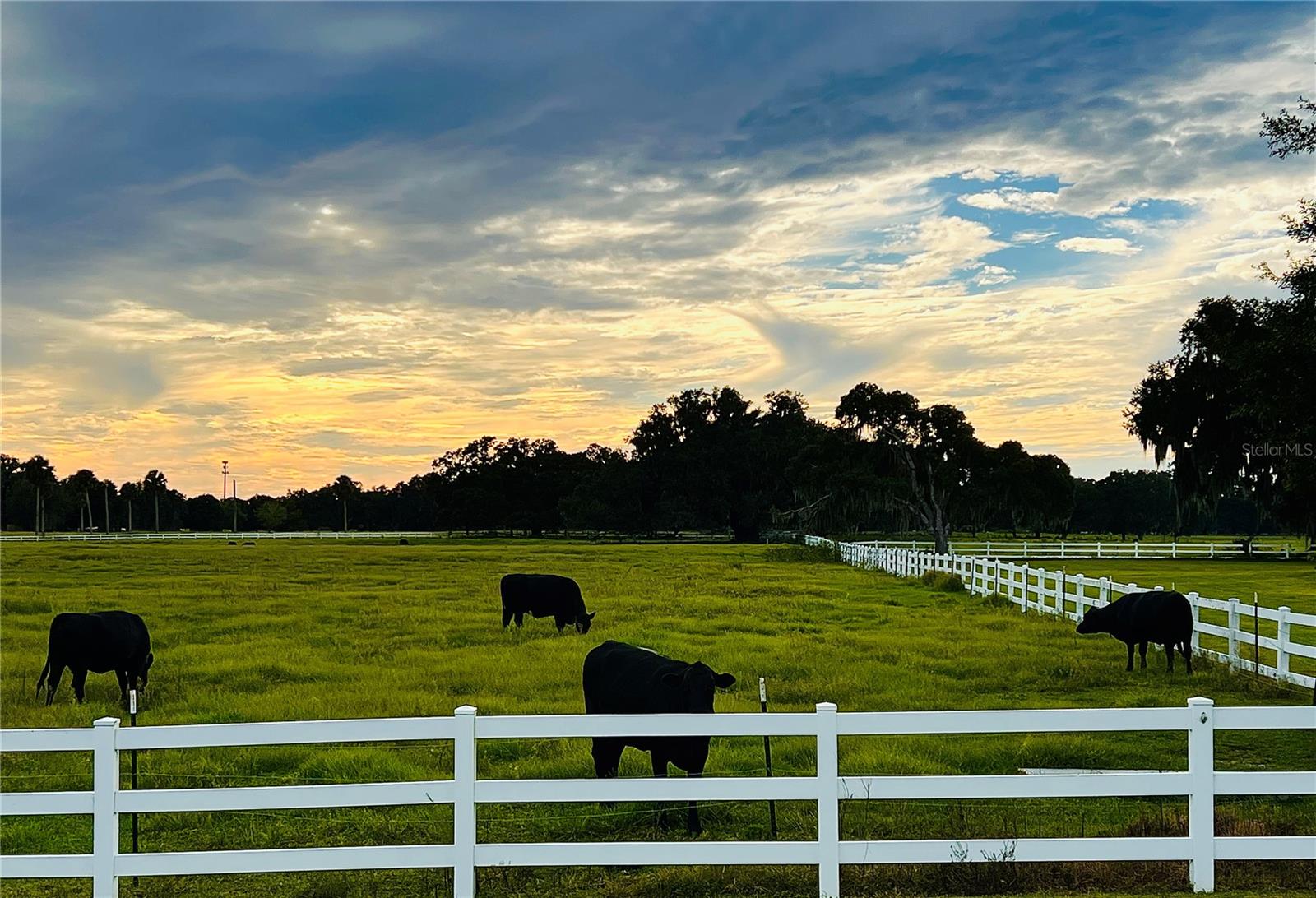 4891 SE 92ND BLVD, WEBSTER, FL, 33597