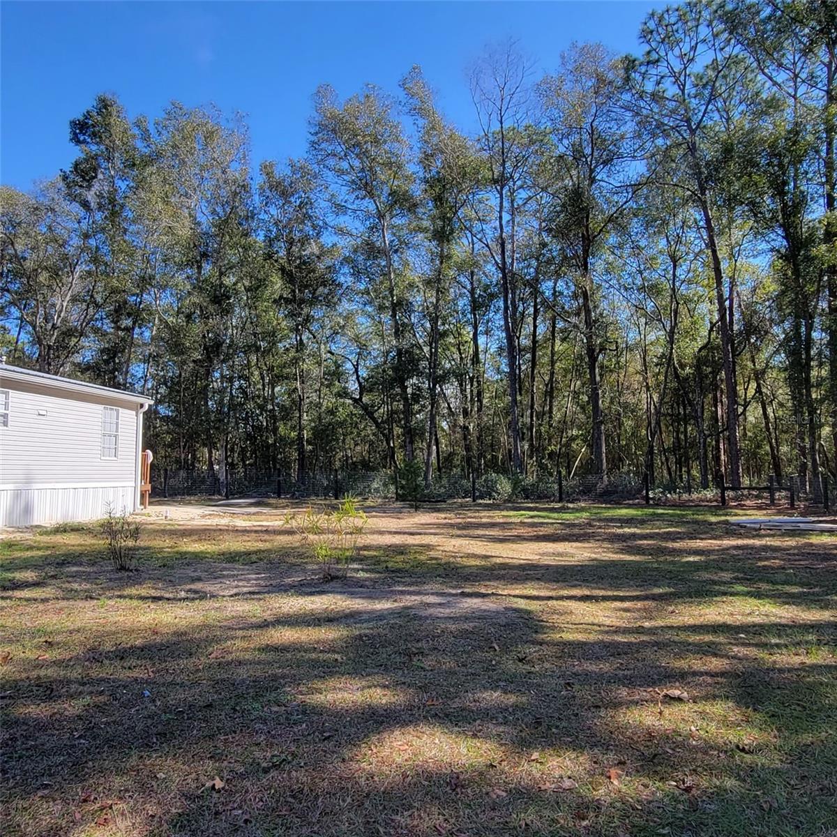 14210 NE 50TH PL, WILLISTON, FL, 32696