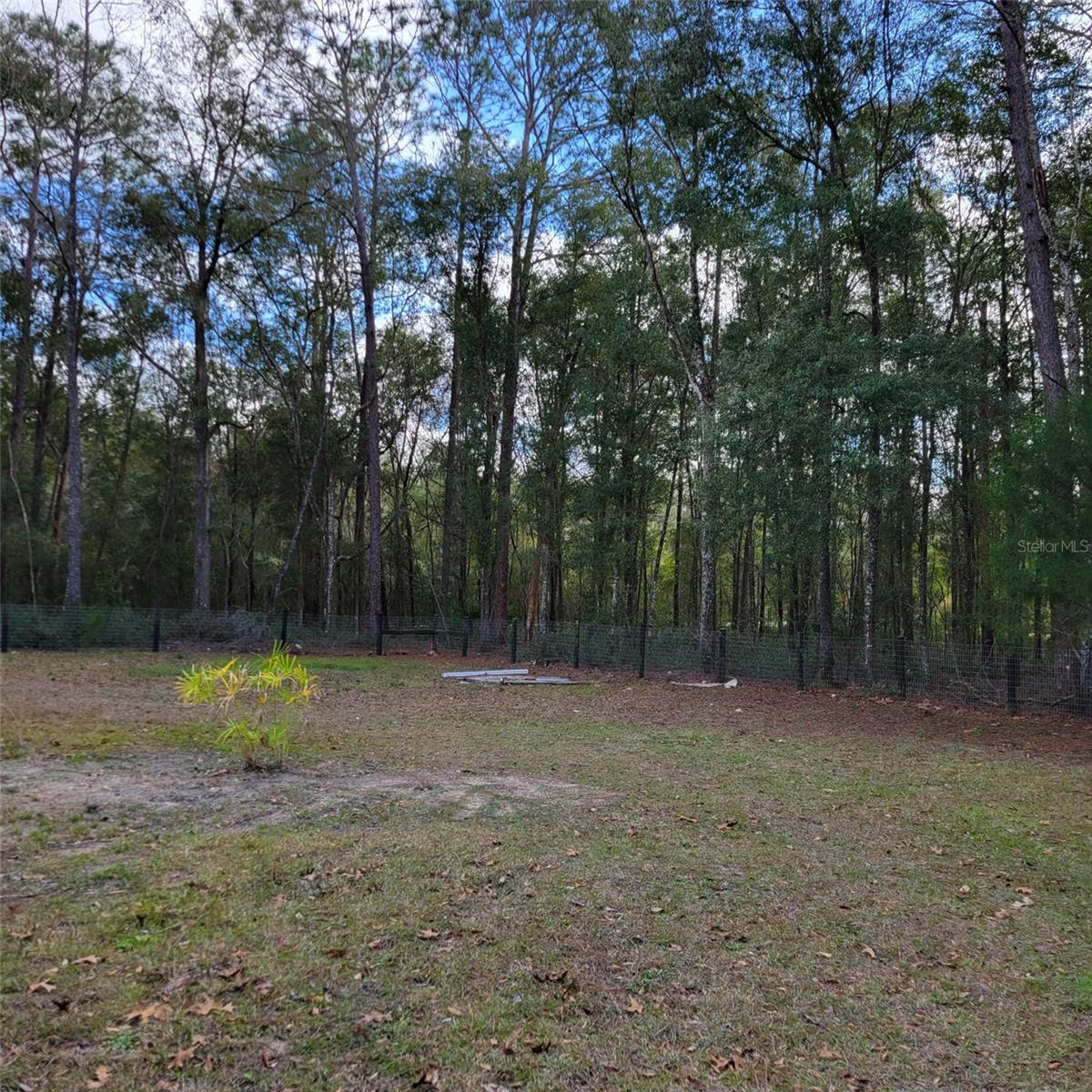 14210 NE 50TH PL, WILLISTON, FL, 32696