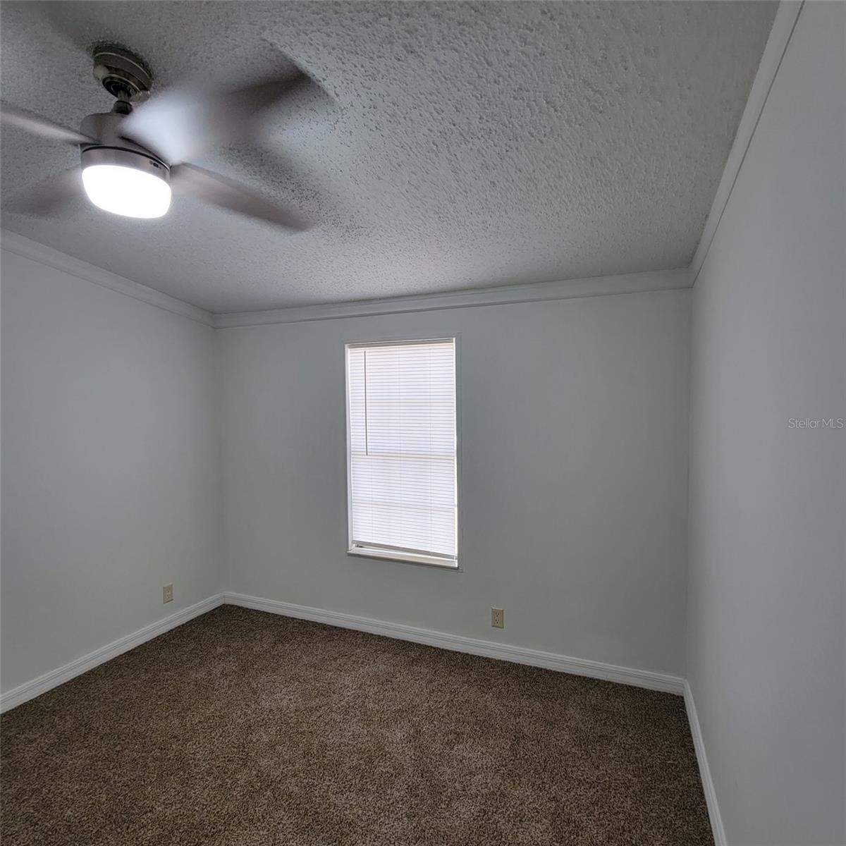 14210 NE 50TH PL, WILLISTON, FL, 32696
