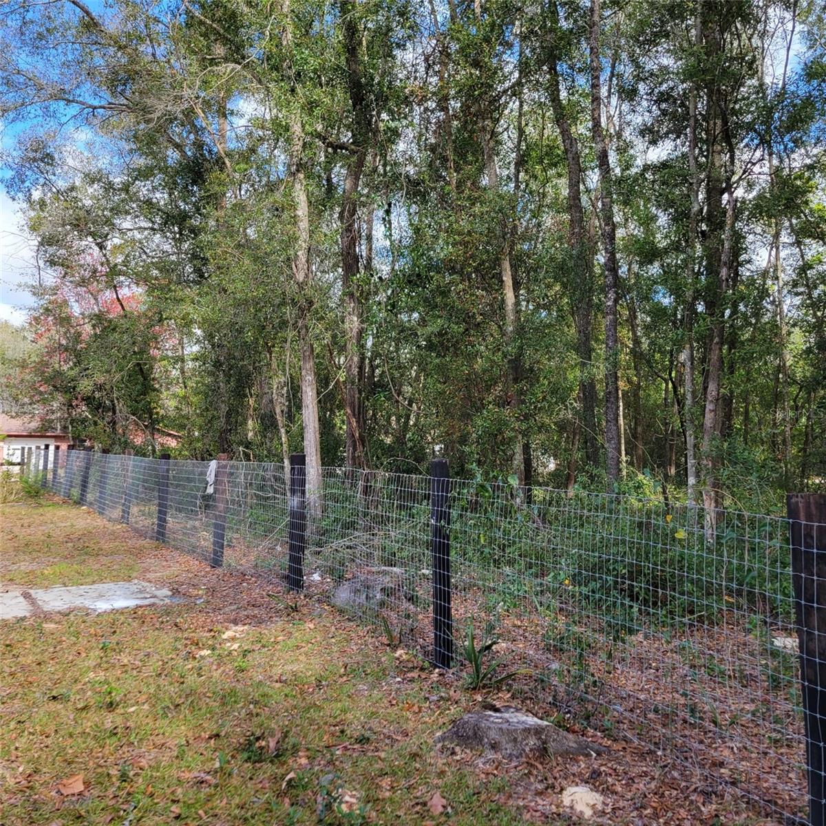 14210 NE 50TH PL, WILLISTON, FL, 32696