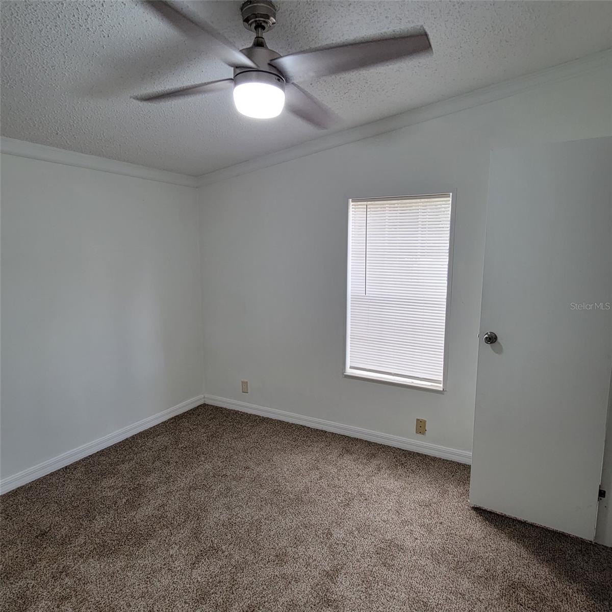 14210 NE 50TH PL, WILLISTON, FL, 32696