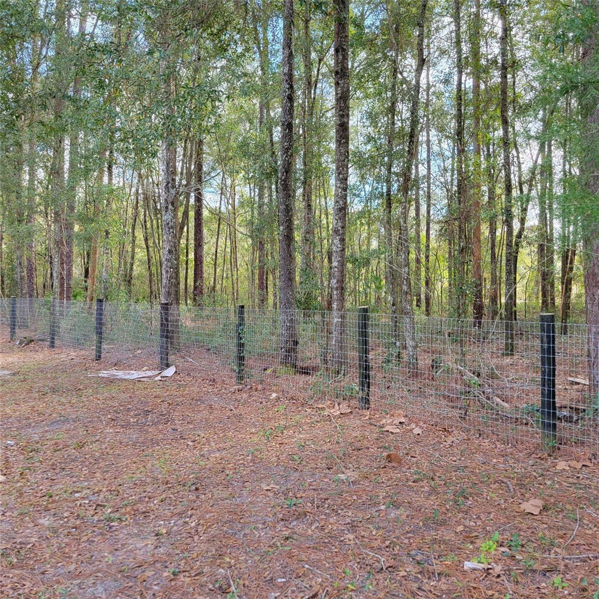 14210 NE 50TH PL, WILLISTON, FL, 32696