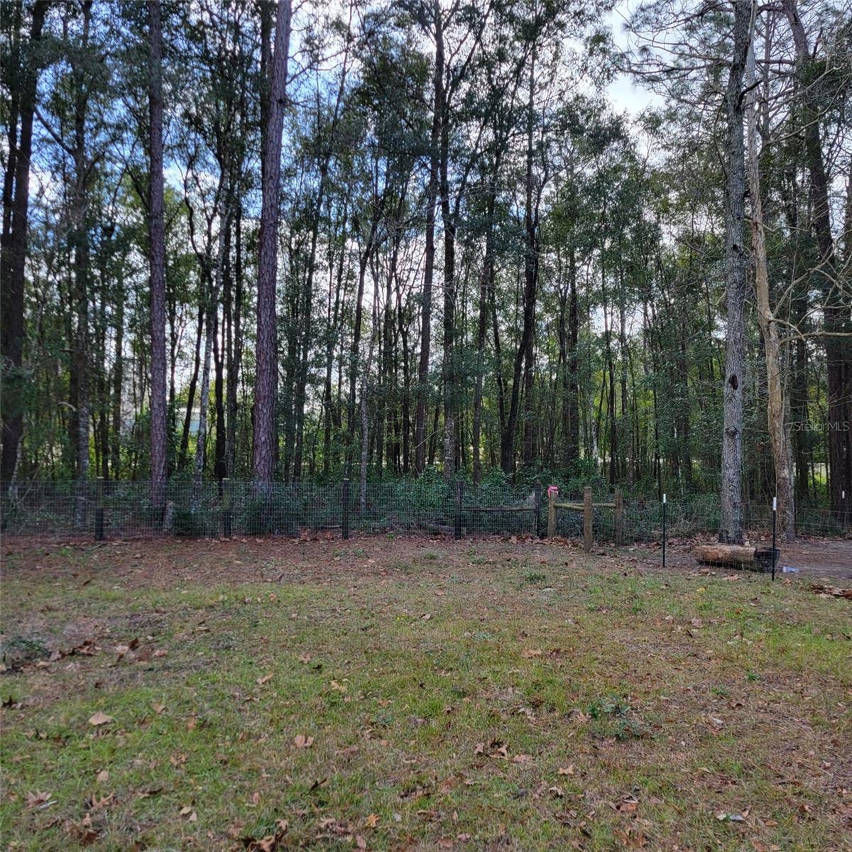14210 NE 50TH PL, WILLISTON, FL, 32696