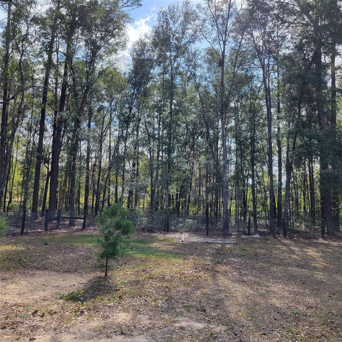 14210 NE 50TH PL, WILLISTON, FL, 32696