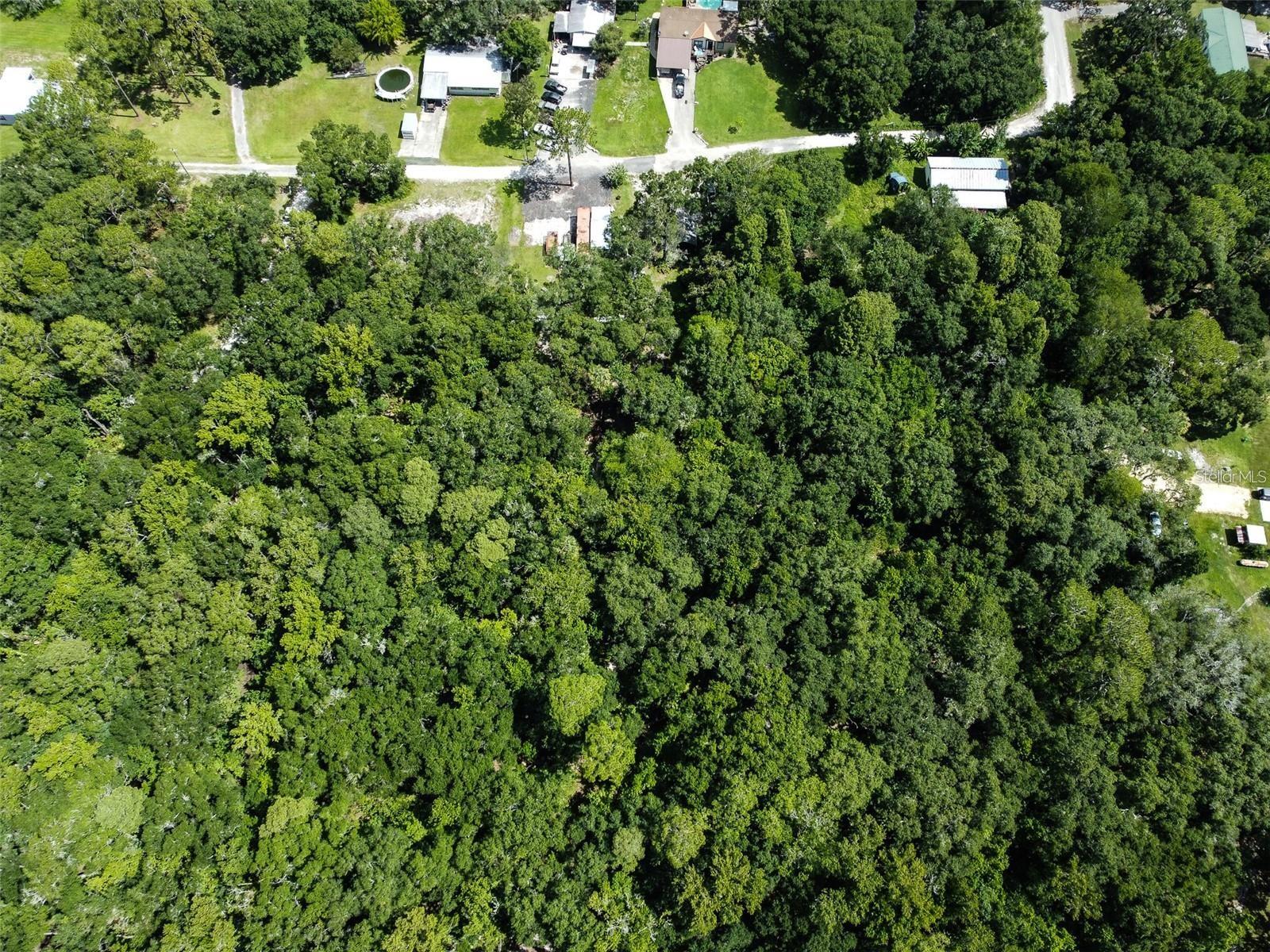 0 CARLTON RD, KATHLEEN, FL, 33849