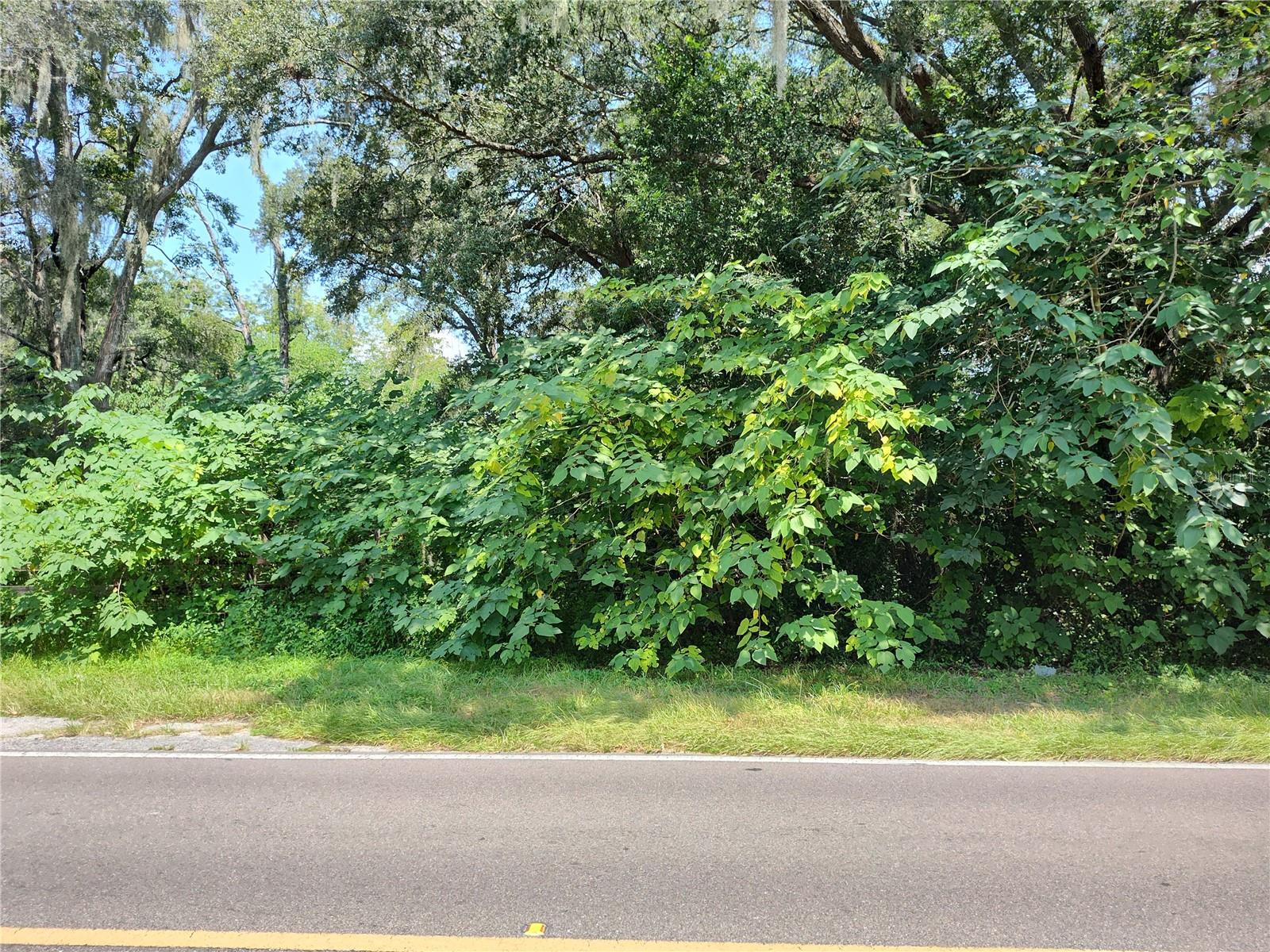0000 NE 40TH ST, WILLISTON, FL, 32696
