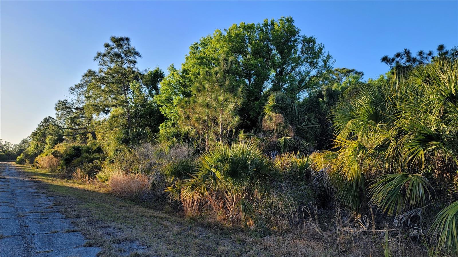 1125231413 CAIMITO AVE, NORTH PORT, FL, 34288