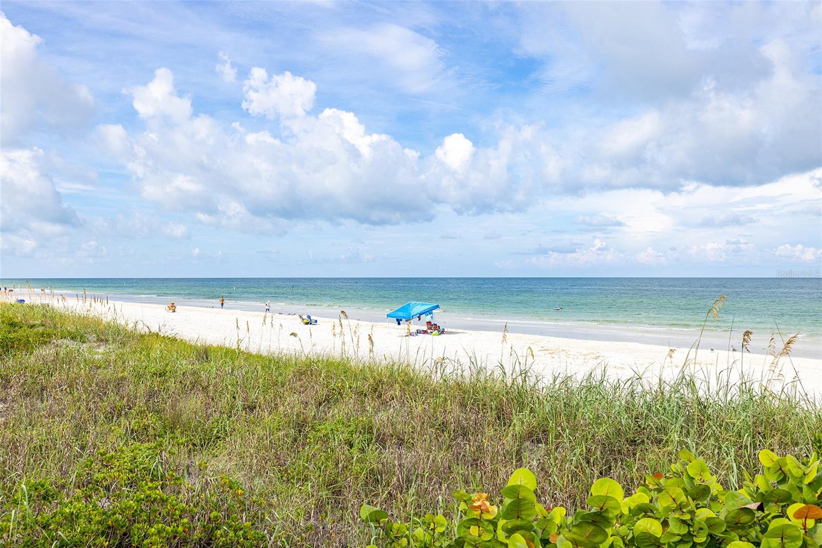 1500 GULF BLVD #103B, INDIAN ROCKS BEACH, FL, 33785