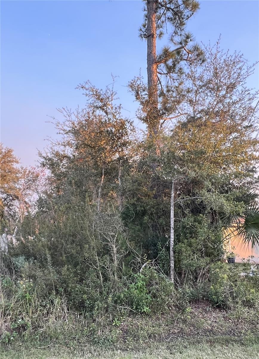 13 WELLESLEY LN, PALM COAST, FL, 32164
