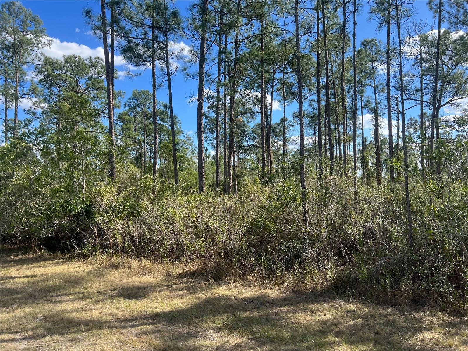 810 CALENDULA DR, INDIAN LAKE ESTATES, FL, 33855