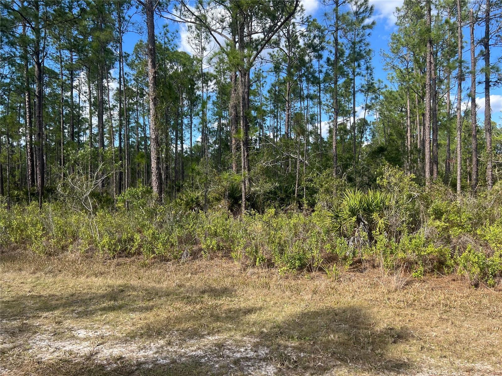 810 CALENDULA DR, INDIAN LAKE ESTATES, FL, 33855