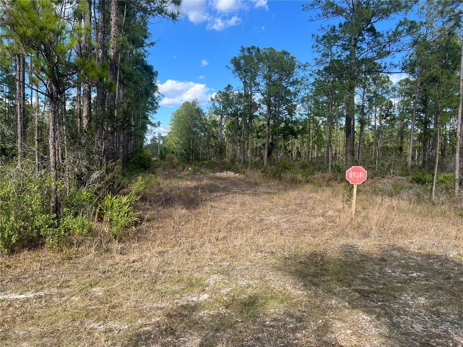 810 CALENDULA DR, INDIAN LAKE ESTATES, FL, 33855