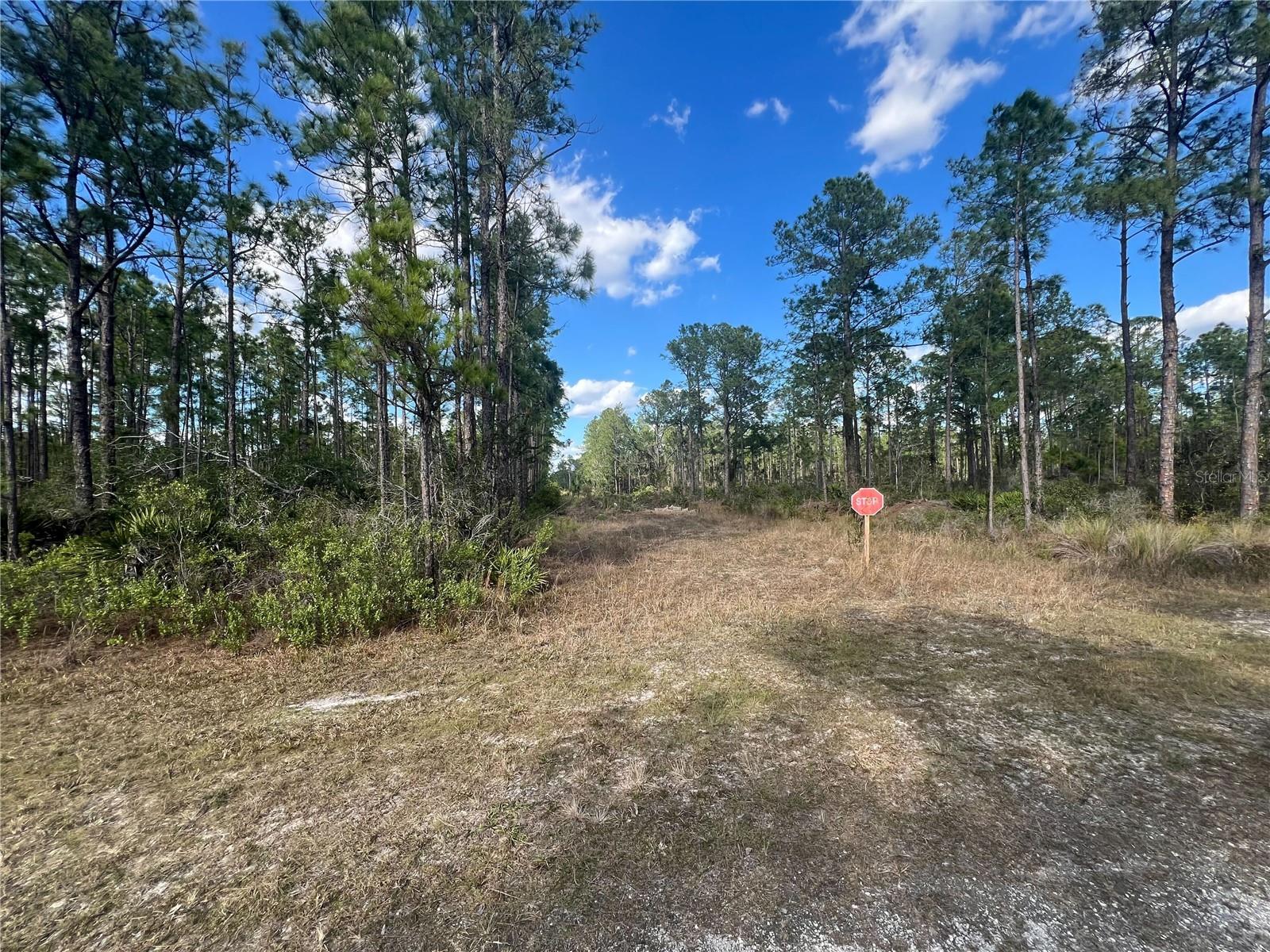 810 CALENDULA DR, INDIAN LAKE ESTATES, FL, 33855