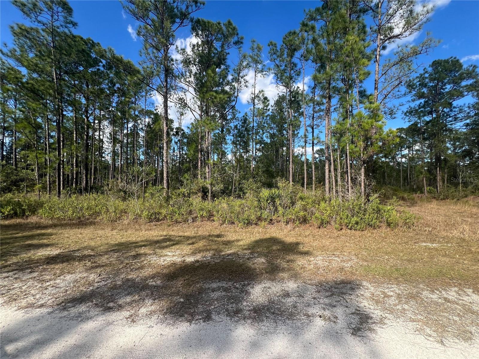 810 CALENDULA DR, INDIAN LAKE ESTATES, FL, 33855