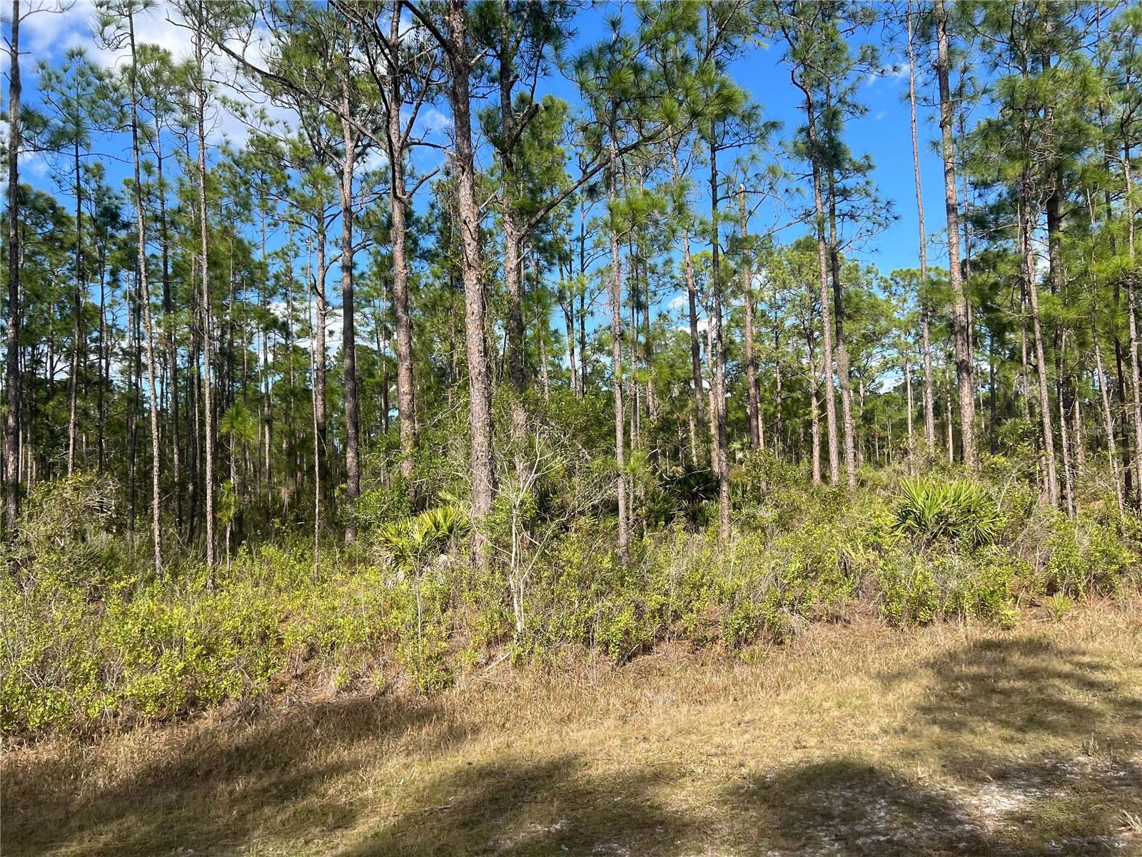 810 CALENDULA DR, INDIAN LAKE ESTATES, FL, 33855