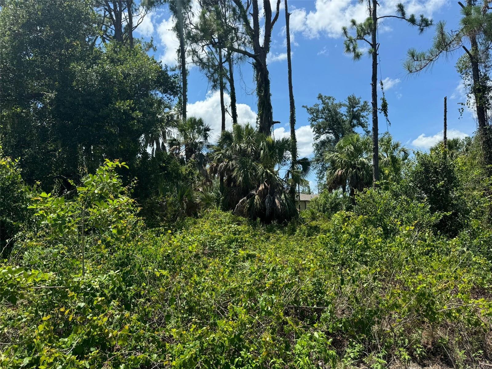 * NAMATKA AVE, NORTH PORT, FL, 34288