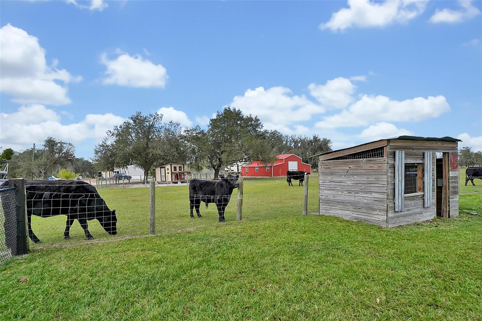 3395 LAKE BUFFUM RD E, FORT MEADE, FL, 33841