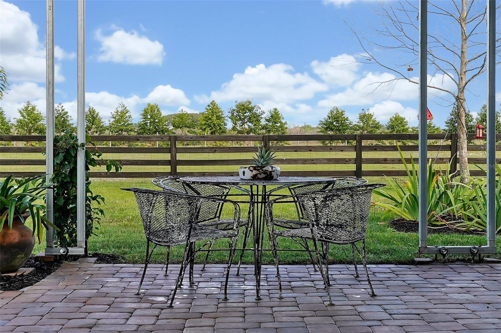 3395 LAKE BUFFUM RD E, FORT MEADE, FL, 33841