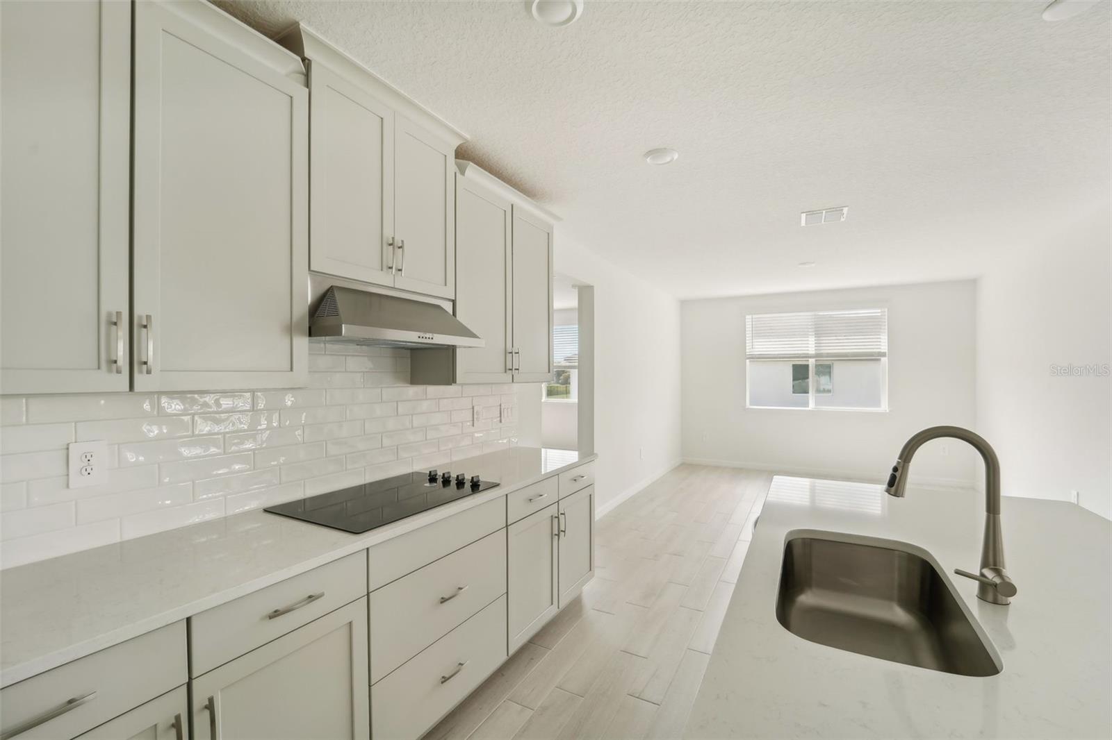 14074 GINNIE SPRINGS WAY, PARRISH, FL, 34219
