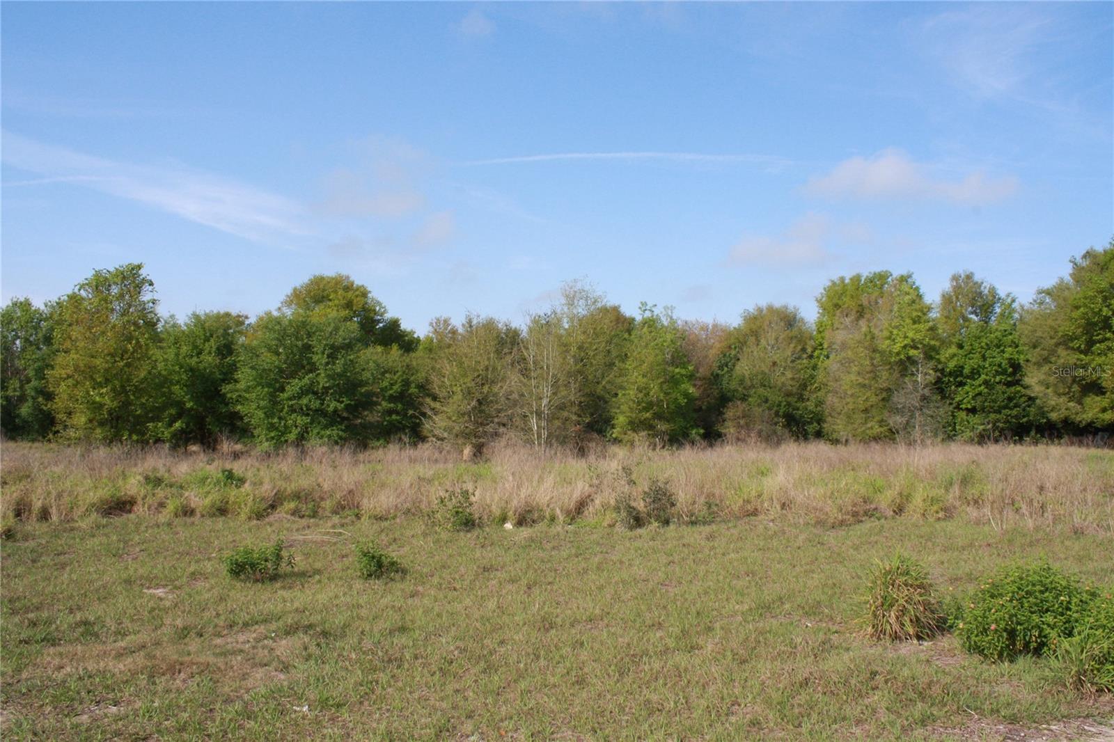 W STARR AVE, LAKE WALES, FL, 33853