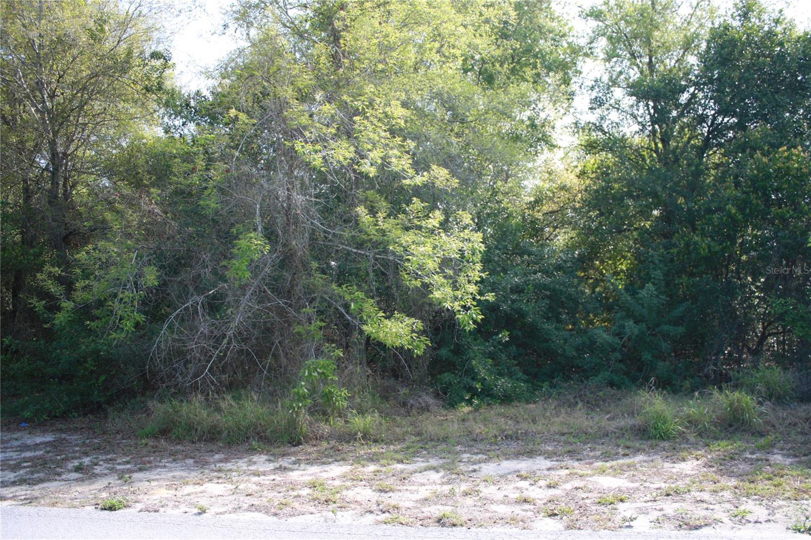 W STARR AVE, LAKE WALES, FL, 33853