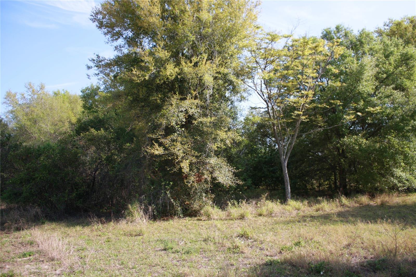 W STARR AVE, LAKE WALES, FL, 33853