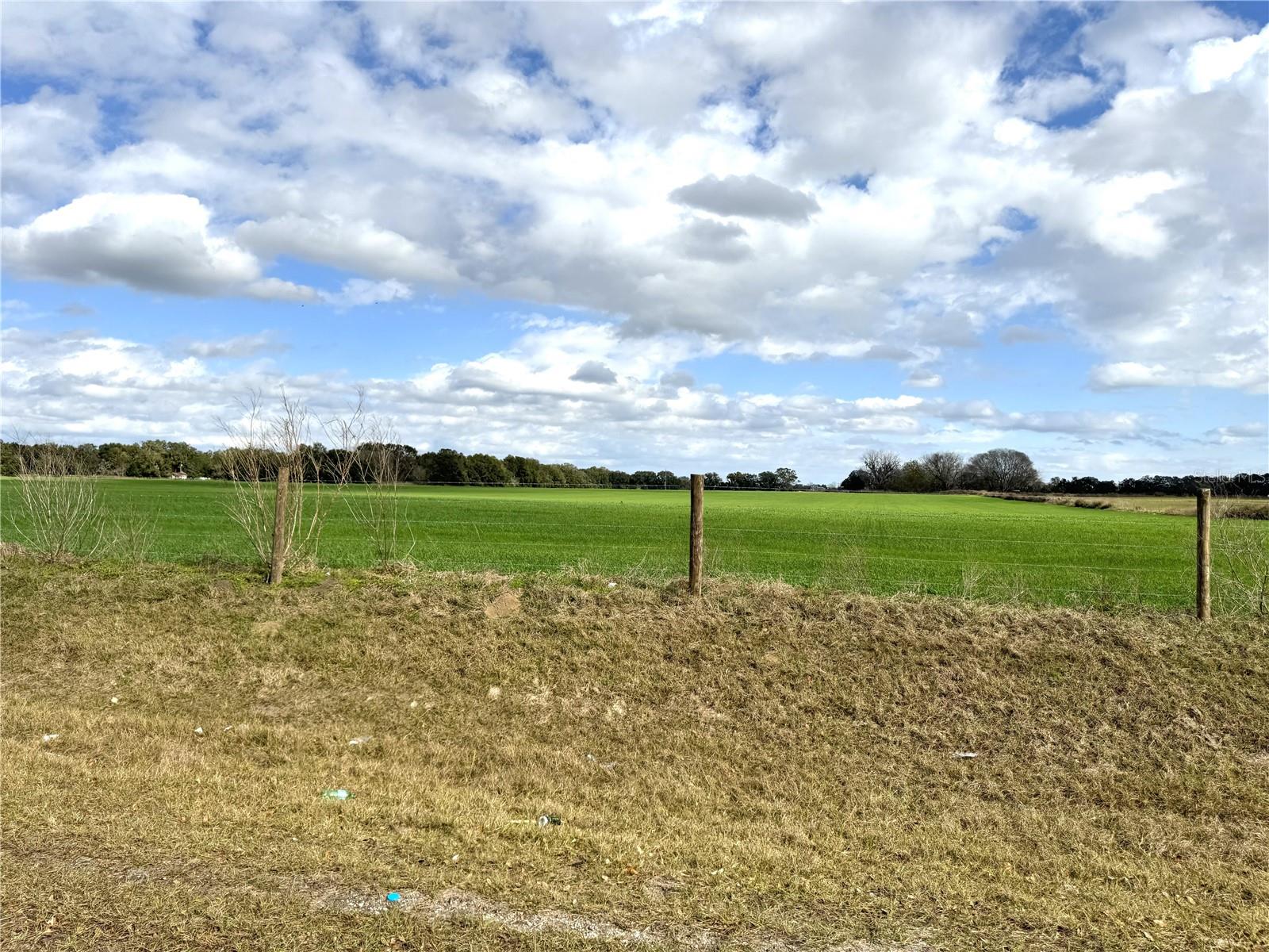 CR 228 & CR 229, WILDWOOD, FL, 34785