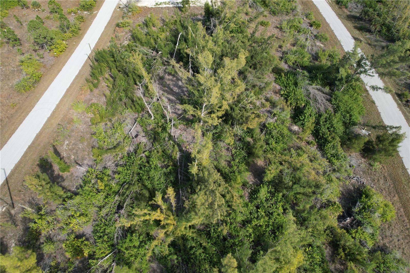 10565 ABELLO RD, PORT CHARLOTTE, FL, 33981