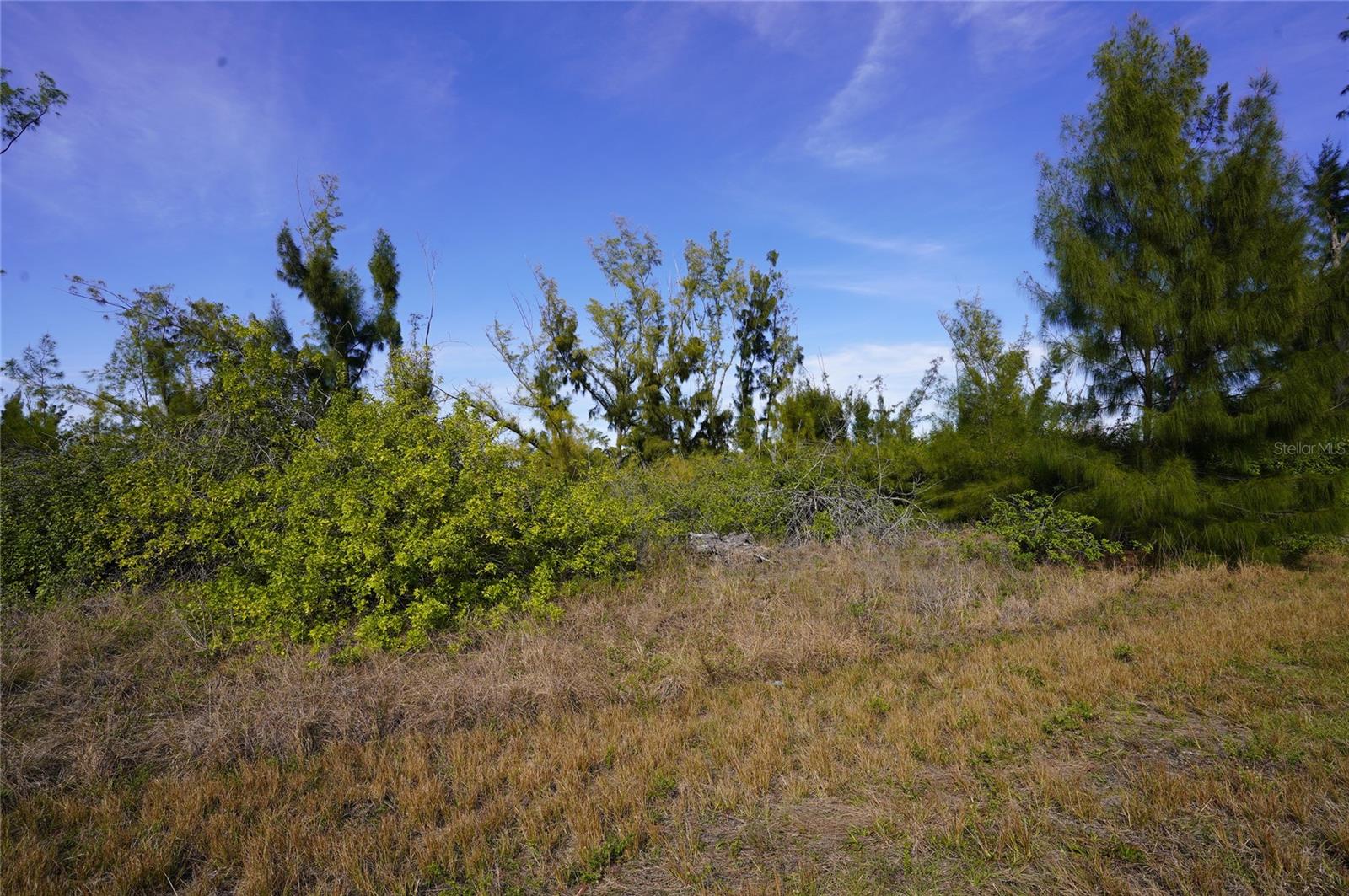 10565 ABELLO RD, PORT CHARLOTTE, FL, 33981