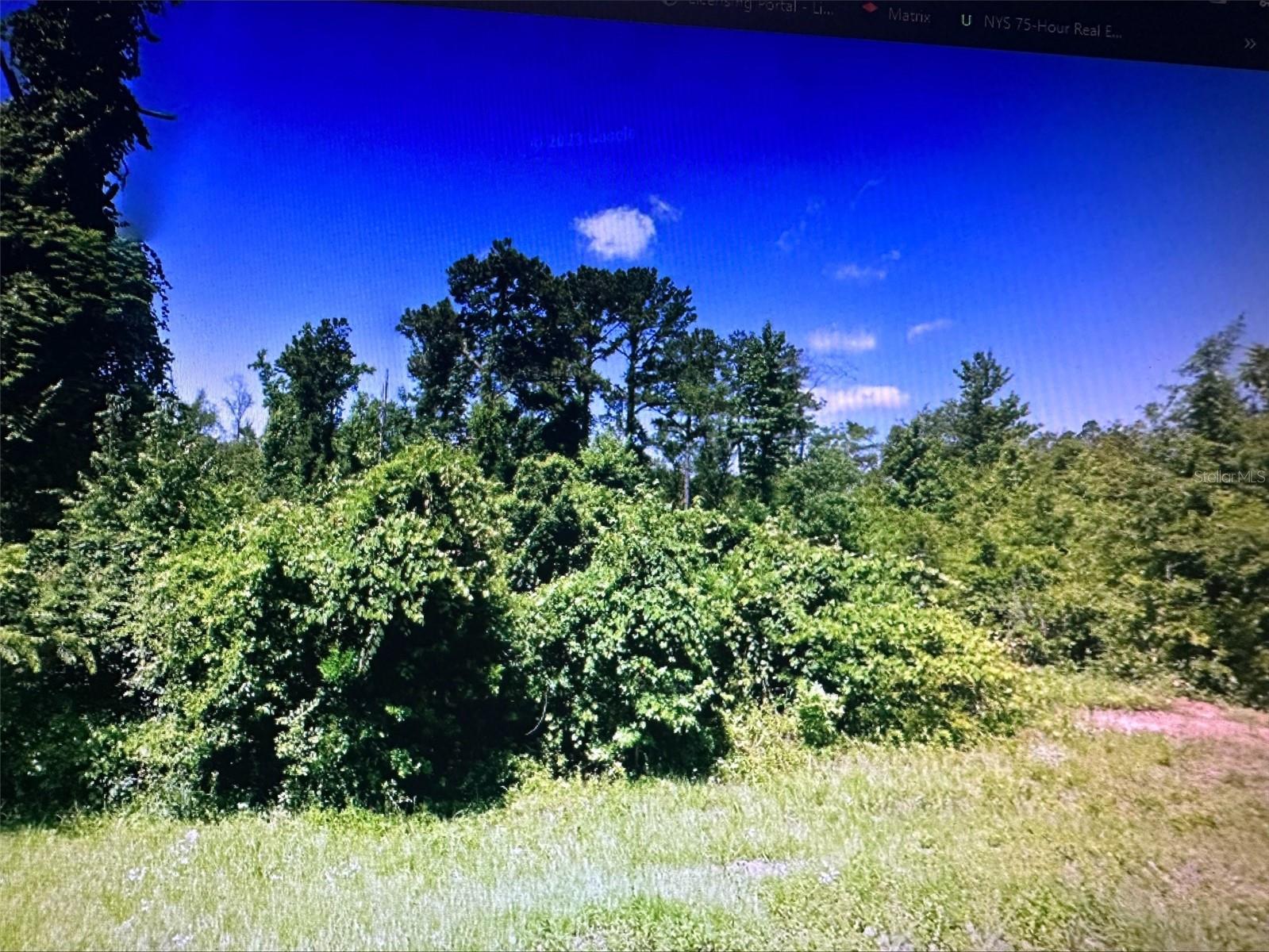 5591 BONNIE HILL RD, CHATTAHOOCHEE, FL, 32324
