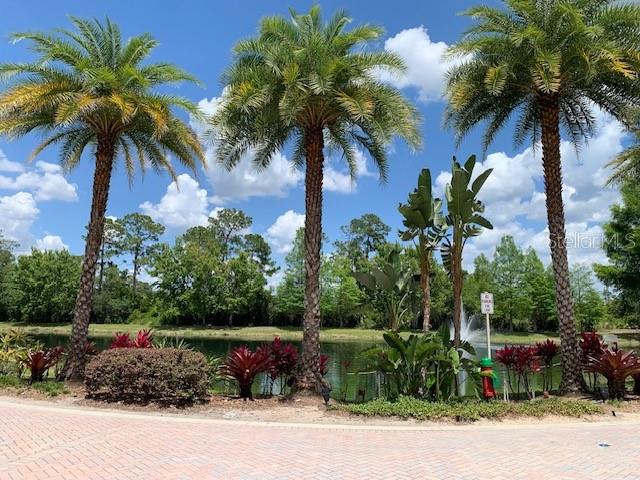 14501 GROVE RESORT AVE #2330, WINTER GARDEN, FL, 34787