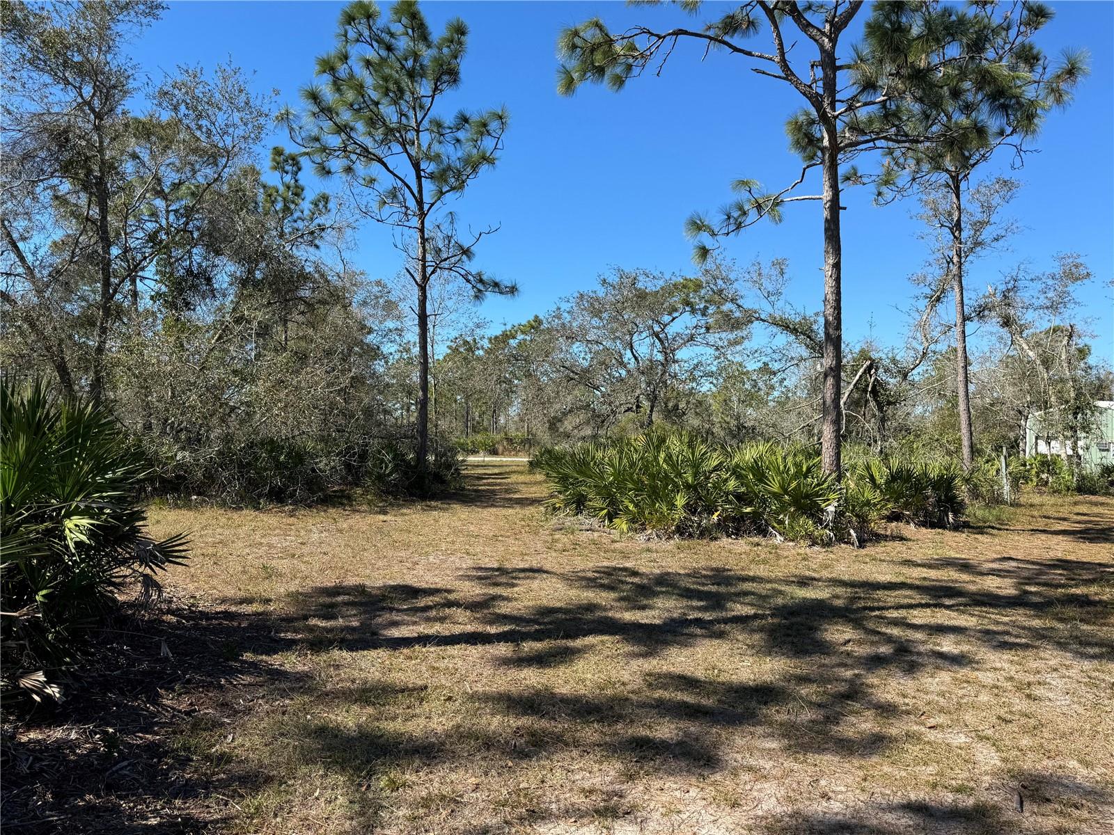 5116 NE COUNTRY RANCHES RD, ARCADIA, FL, 34266