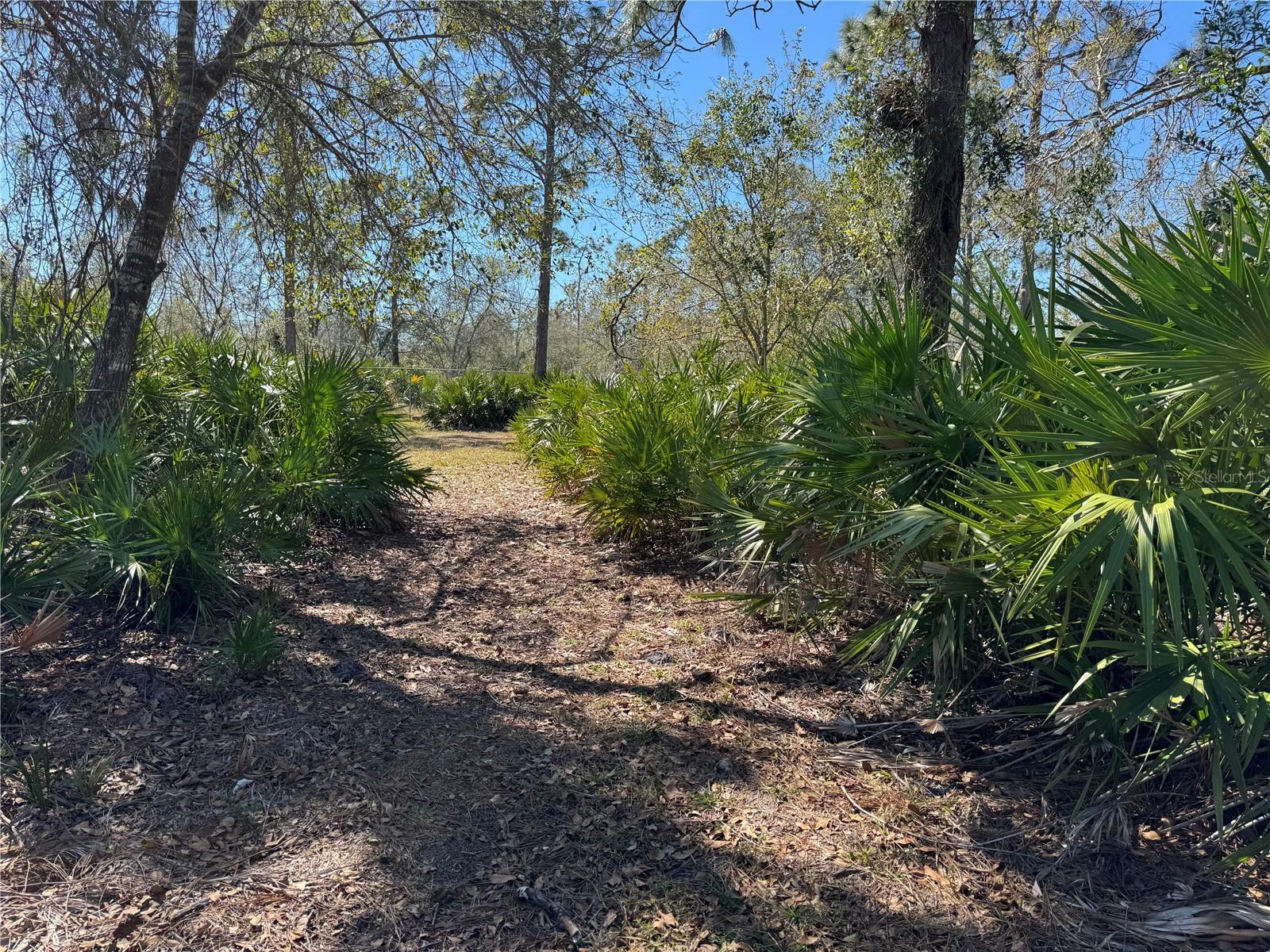 5116 NE COUNTRY RANCHES RD, ARCADIA, FL, 34266