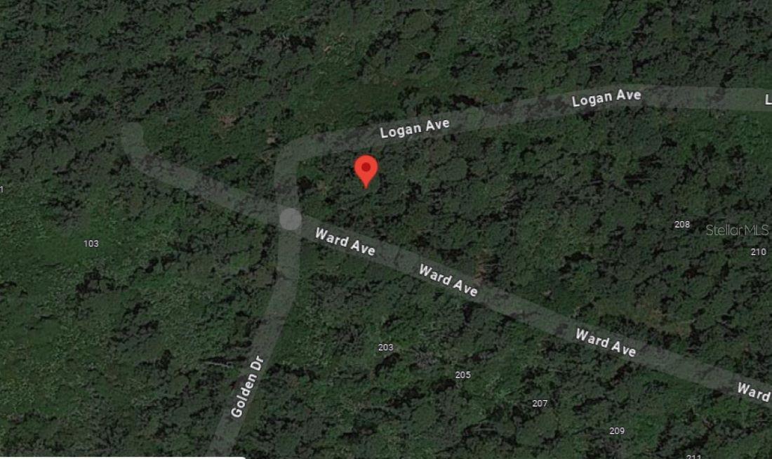 WARD AVE, CRESCENT CITY, FL, 32112