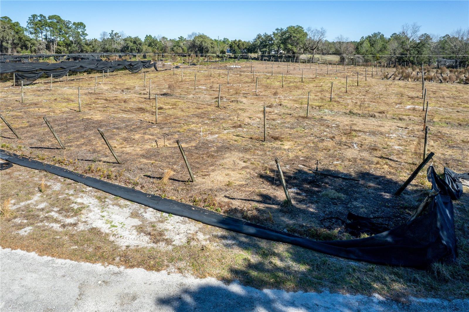 40945 BEACH RD, EUSTIS, FL, 32736