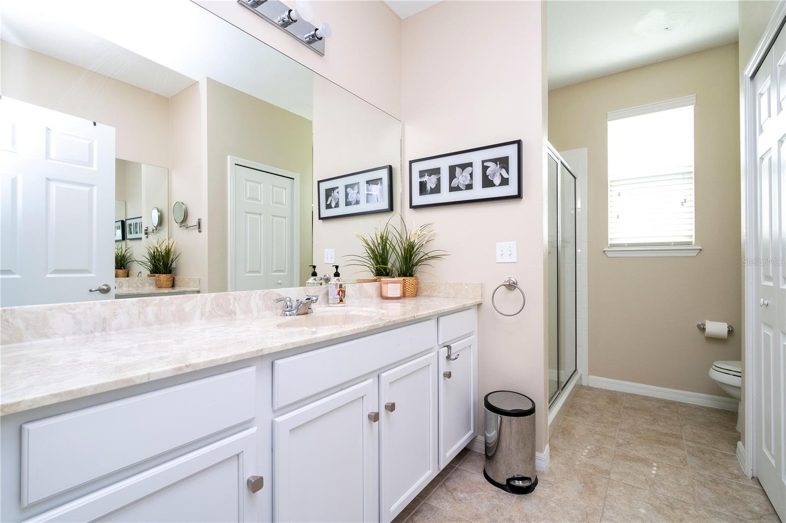 6008 GOLDEN DEWDROP TRL, WINDERMERE, FL, 34786