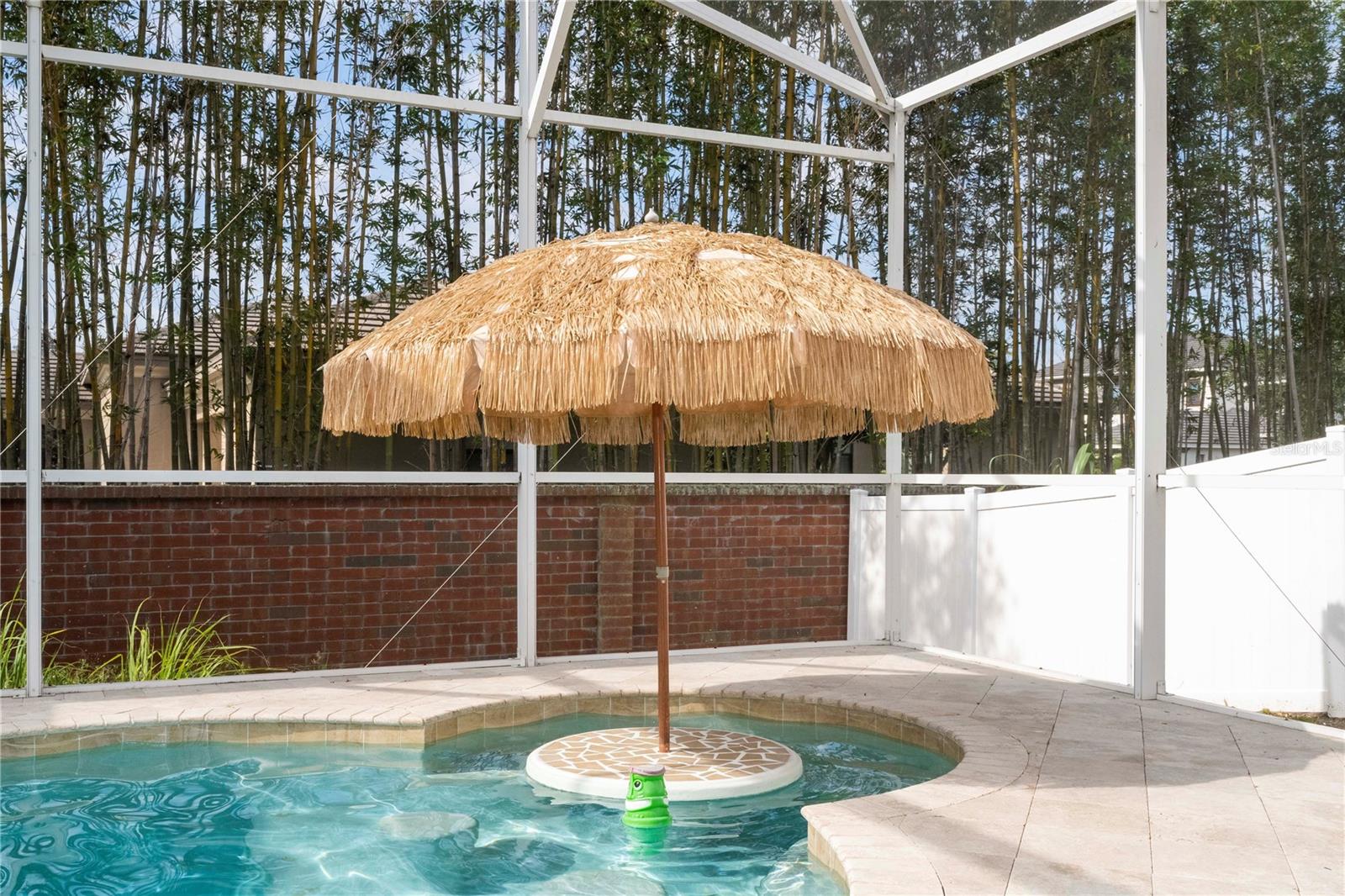 6008 GOLDEN DEWDROP TRL, WINDERMERE, FL, 34786