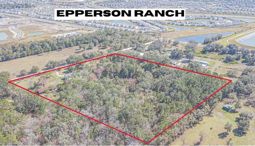 8529 KENTON RD, WESLEY CHAPEL, FL, 33545