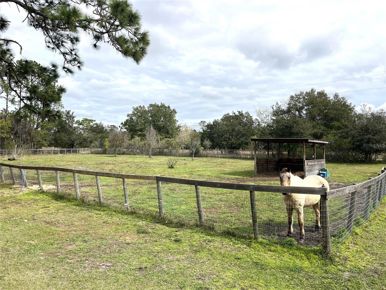 8529 KENTON RD, WESLEY CHAPEL, FL, 33545