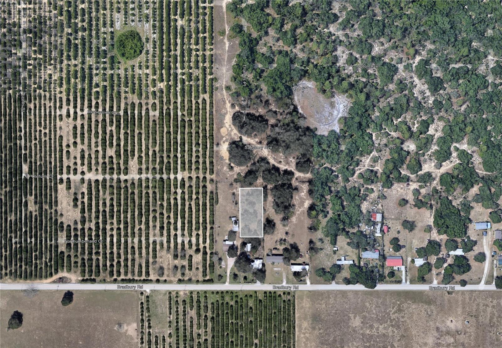 BRADBURY RD, HAINES CITY, FL, 33844